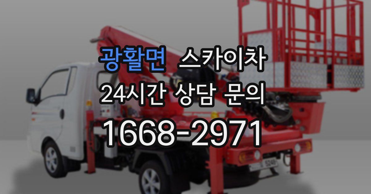 광활면 스카이차