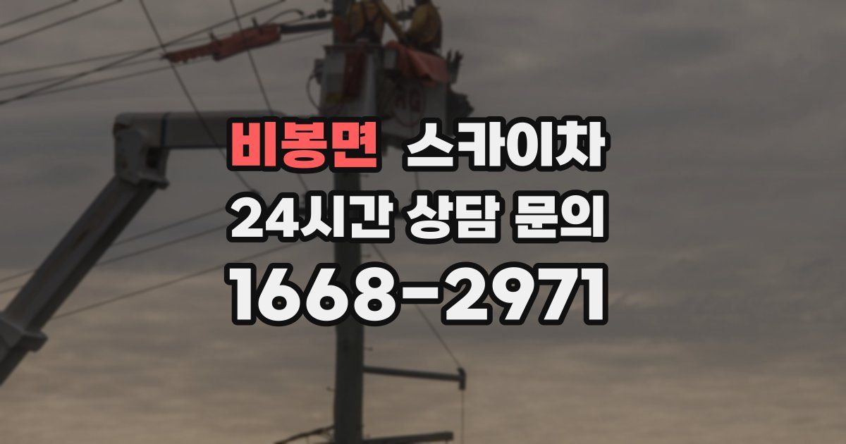 비봉면 스카이차