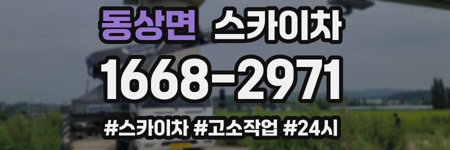 동상면 스카이차