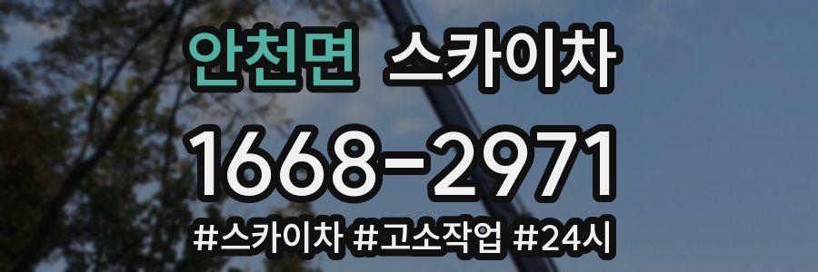 안천면 스카이차