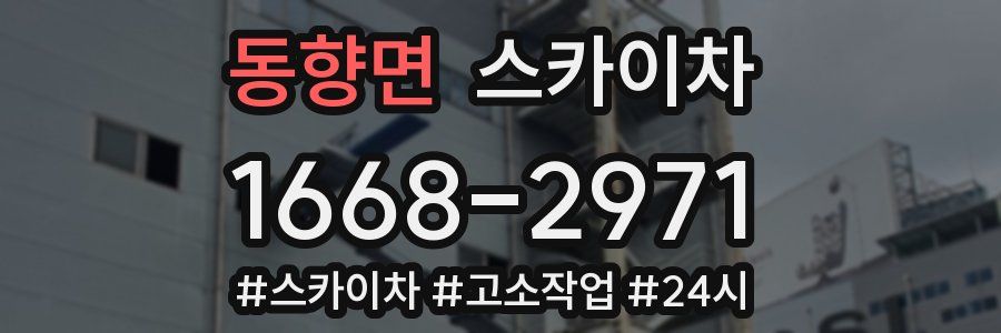 동향면 스카이차