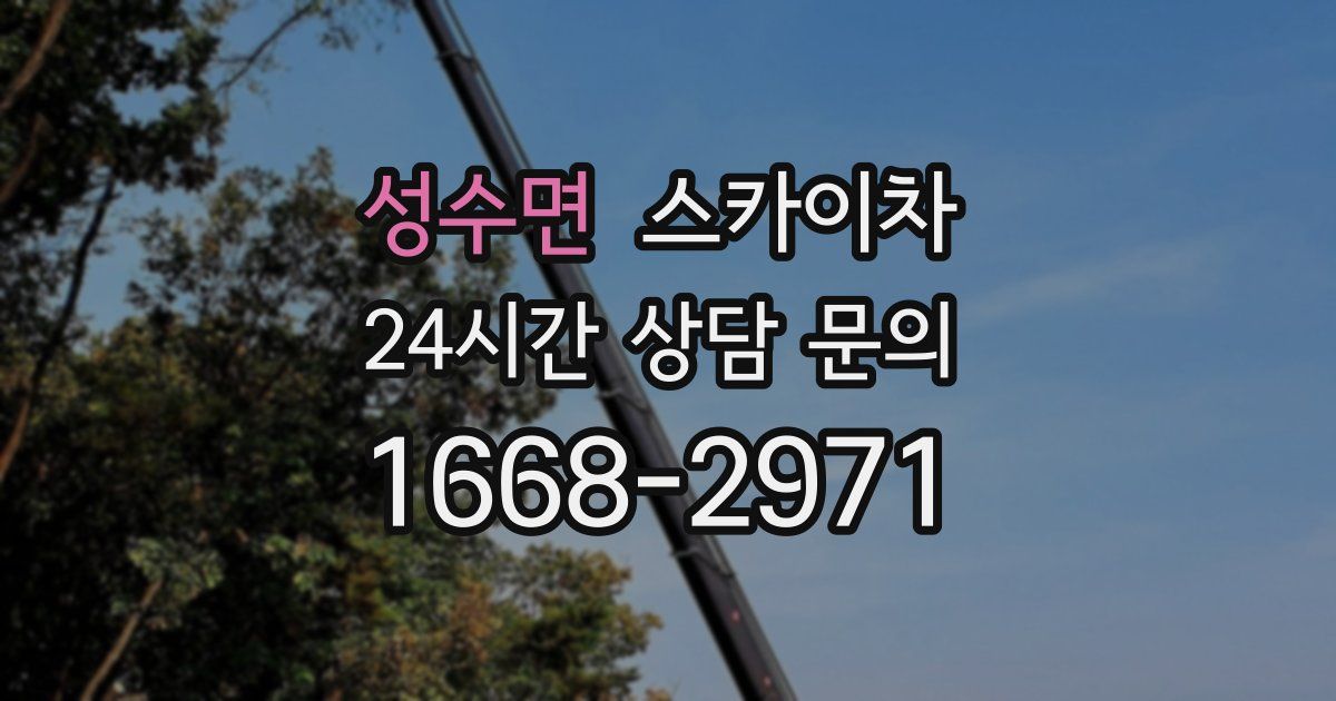 성수면 스카이차