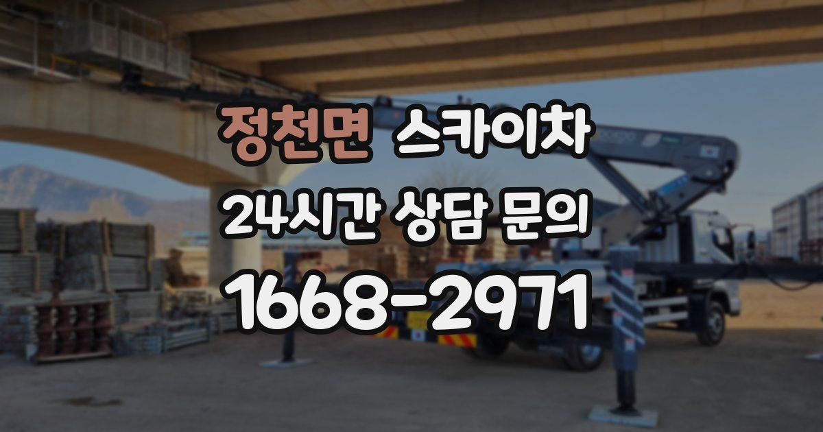 정천면 스카이차