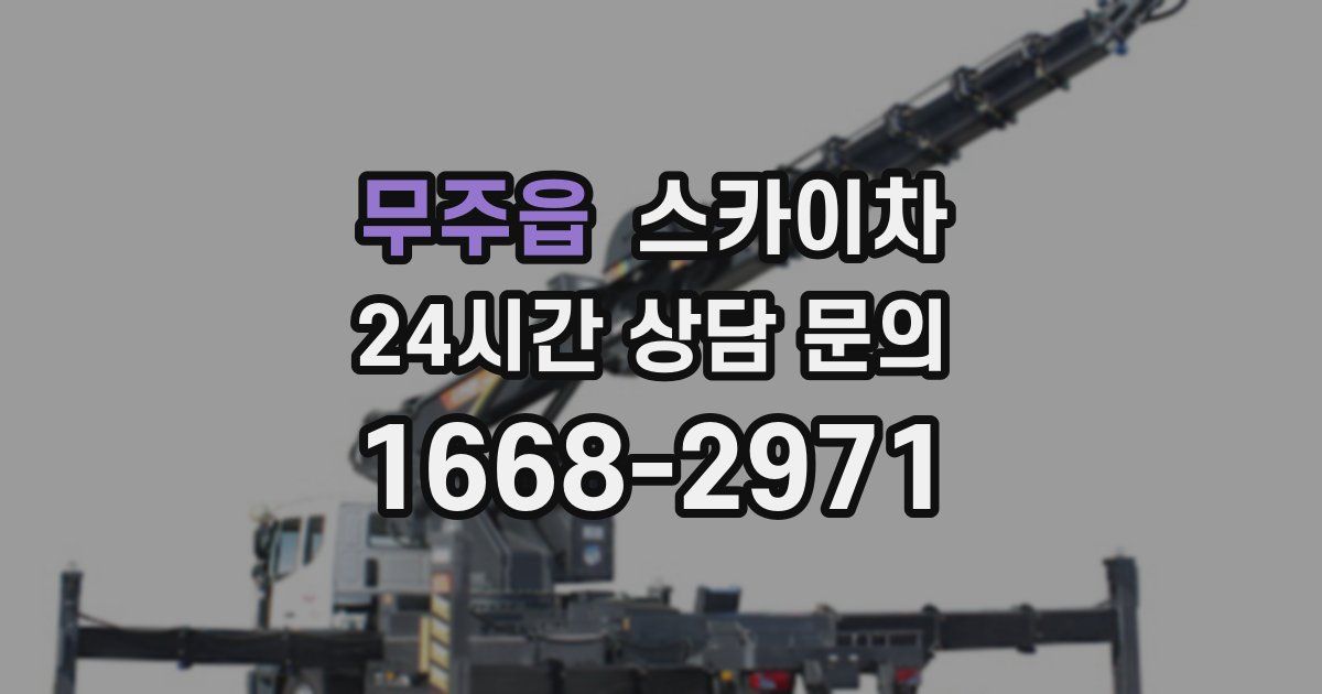 무주읍 스카이차