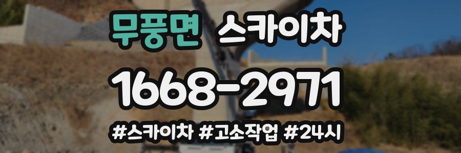 무풍면 스카이차