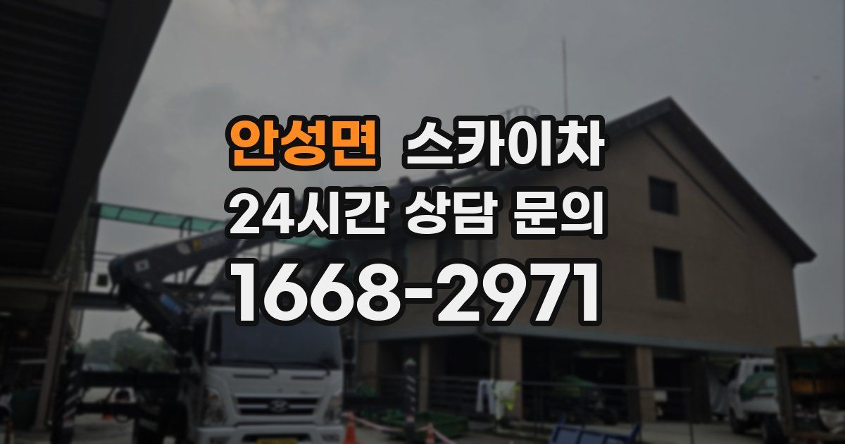 안성면 스카이차