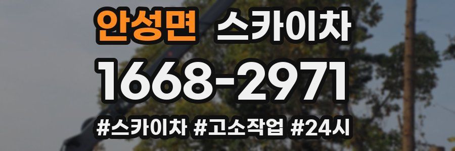 안성면 스카이차