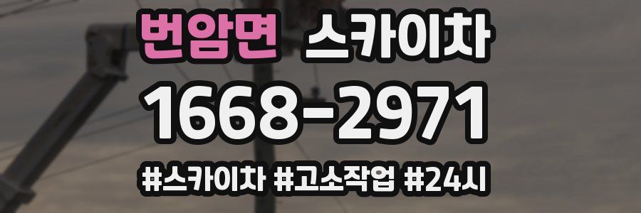 번암면 스카이차