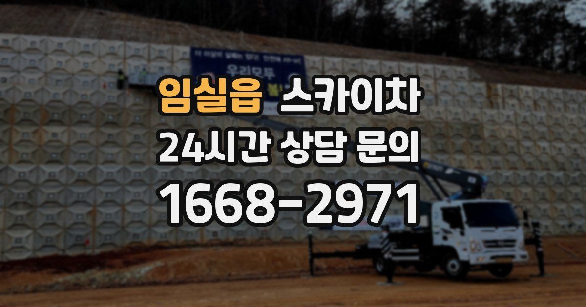 임실읍 스카이차