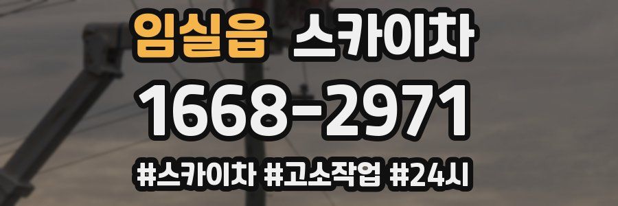 임실읍 스카이차