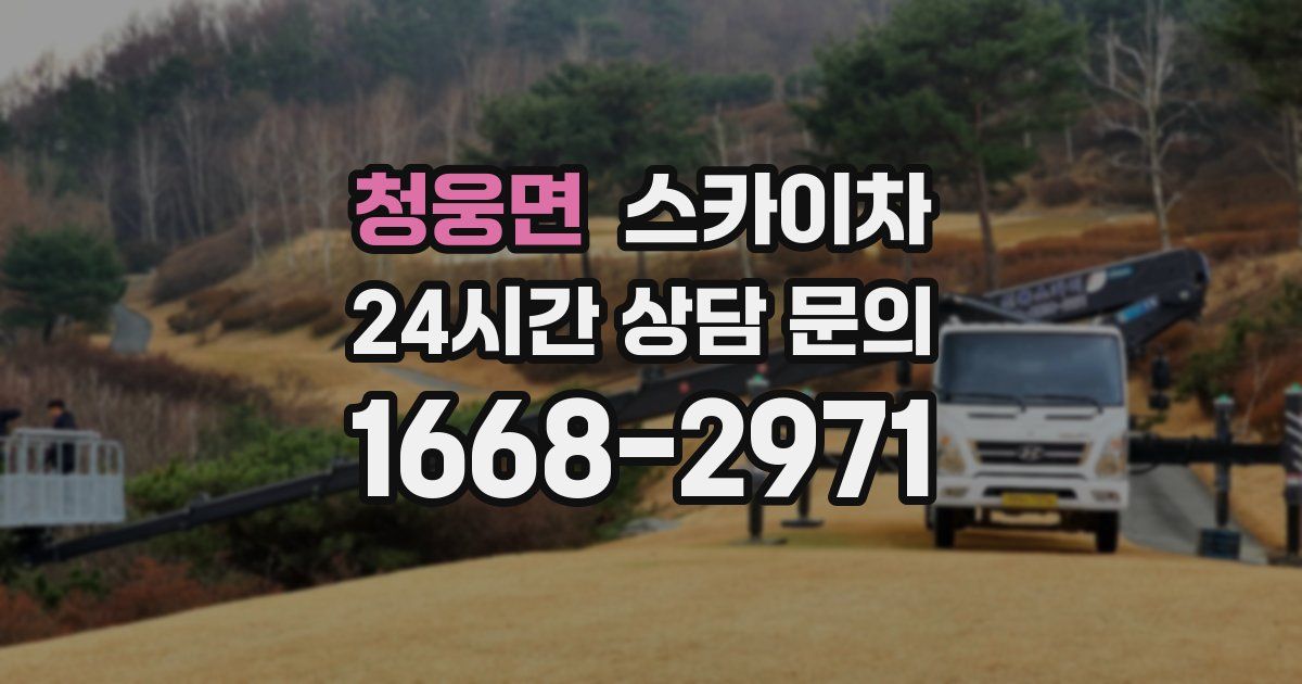 청웅면 스카이차