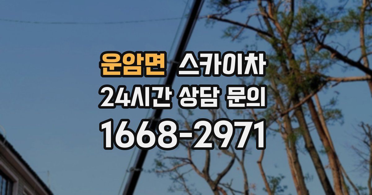 운암면 스카이차