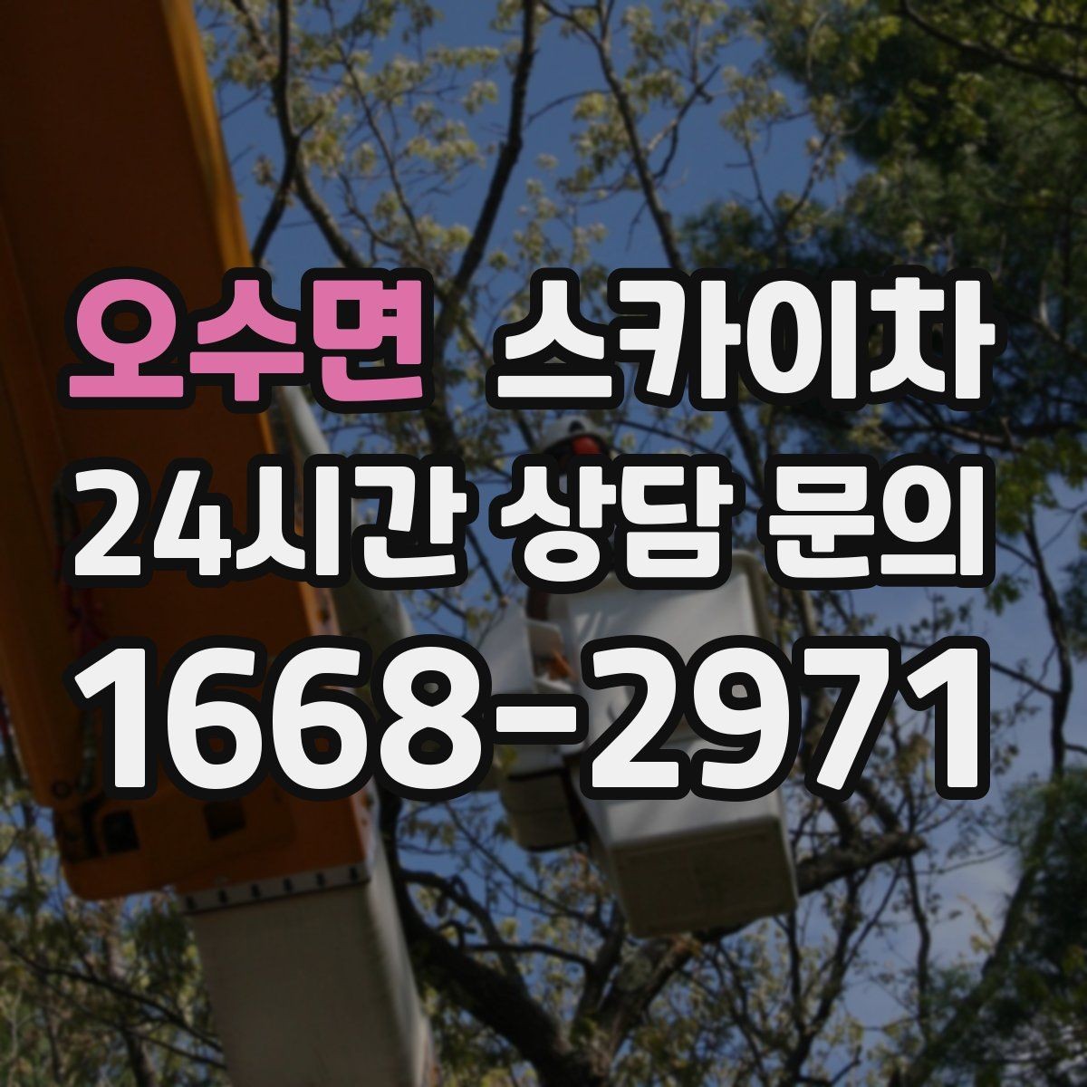 오수면 스카이차 외부 시설물 점검을 고소에서 진행하기