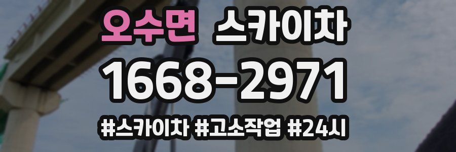 오수면 스카이차