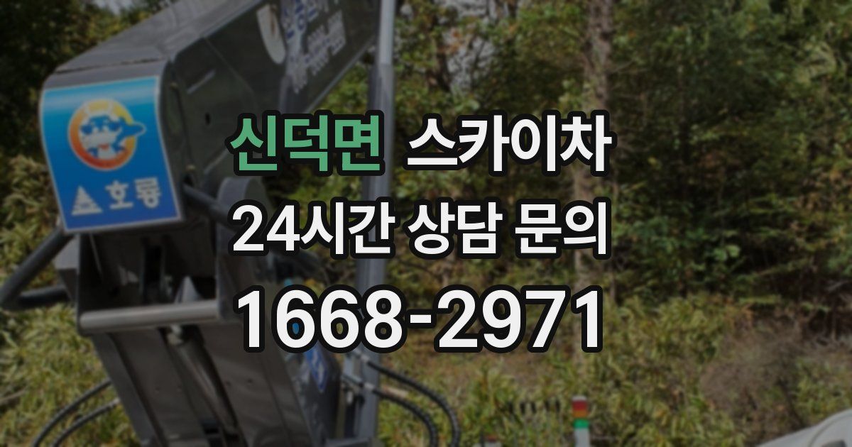 신덕면 스카이차