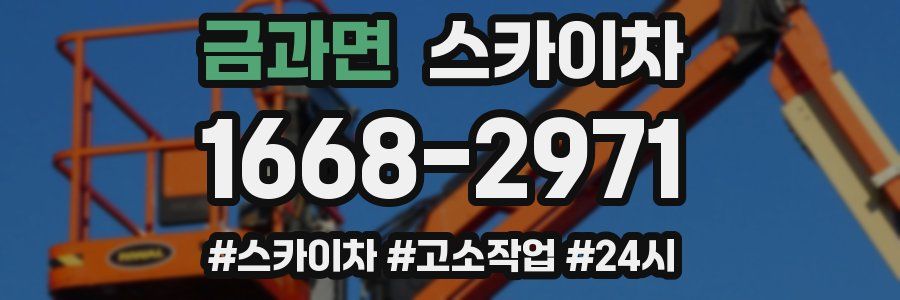 금과면 스카이차