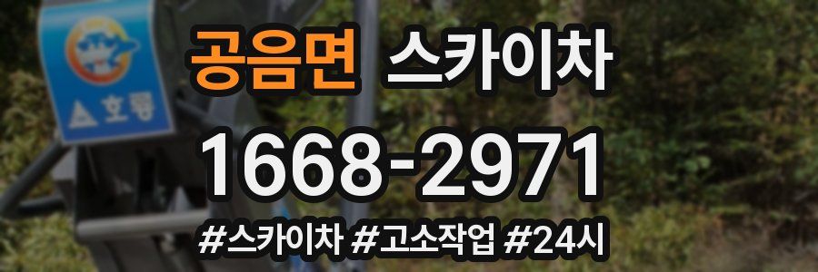 공음면 스카이차