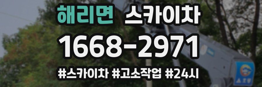 해리면 스카이차