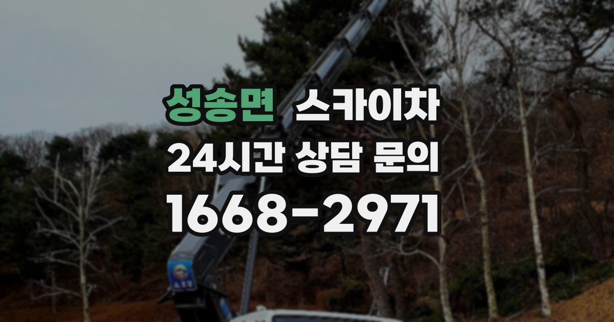 성송면 스카이차