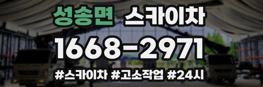 성송면 스카이차