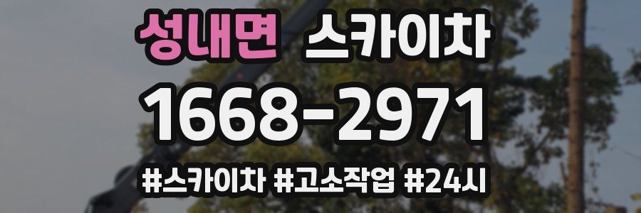 성내면 스카이차