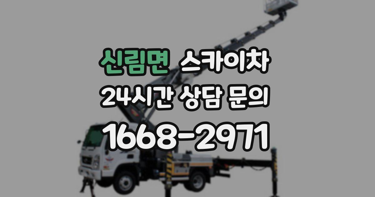 신림면 스카이차