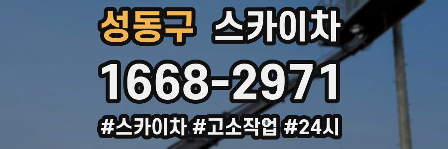 성동구 스카이차