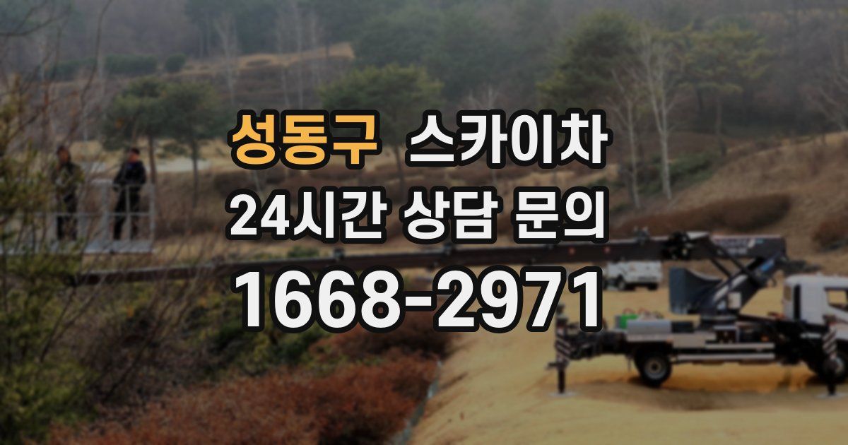 성동구 스카이차