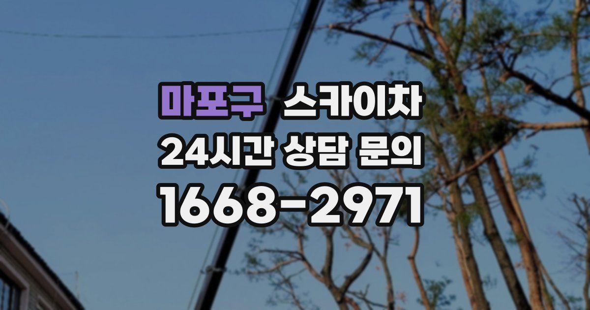 마포구 스카이차