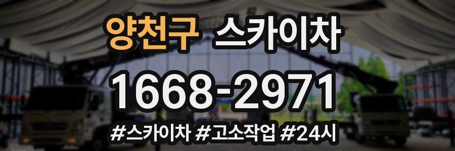 양천구 스카이차