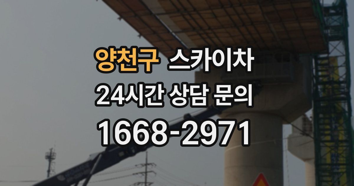 양천구 스카이차