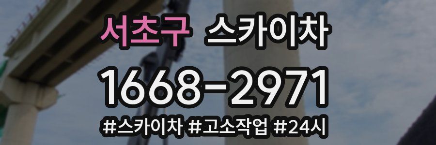 서초구 스카이차