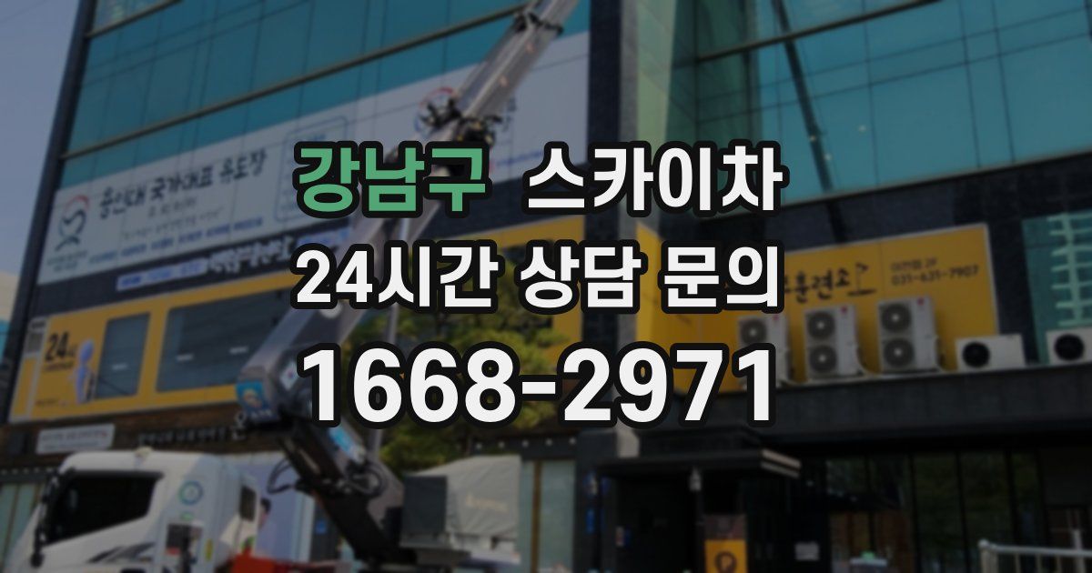 강남구 스카이차