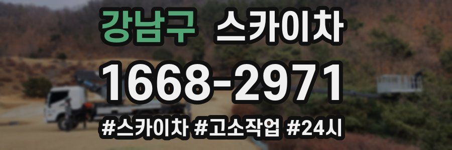 강남구 스카이차