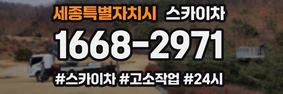 세종특별자치시 스카이차