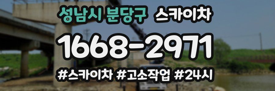 성남시 분당구 스카이차