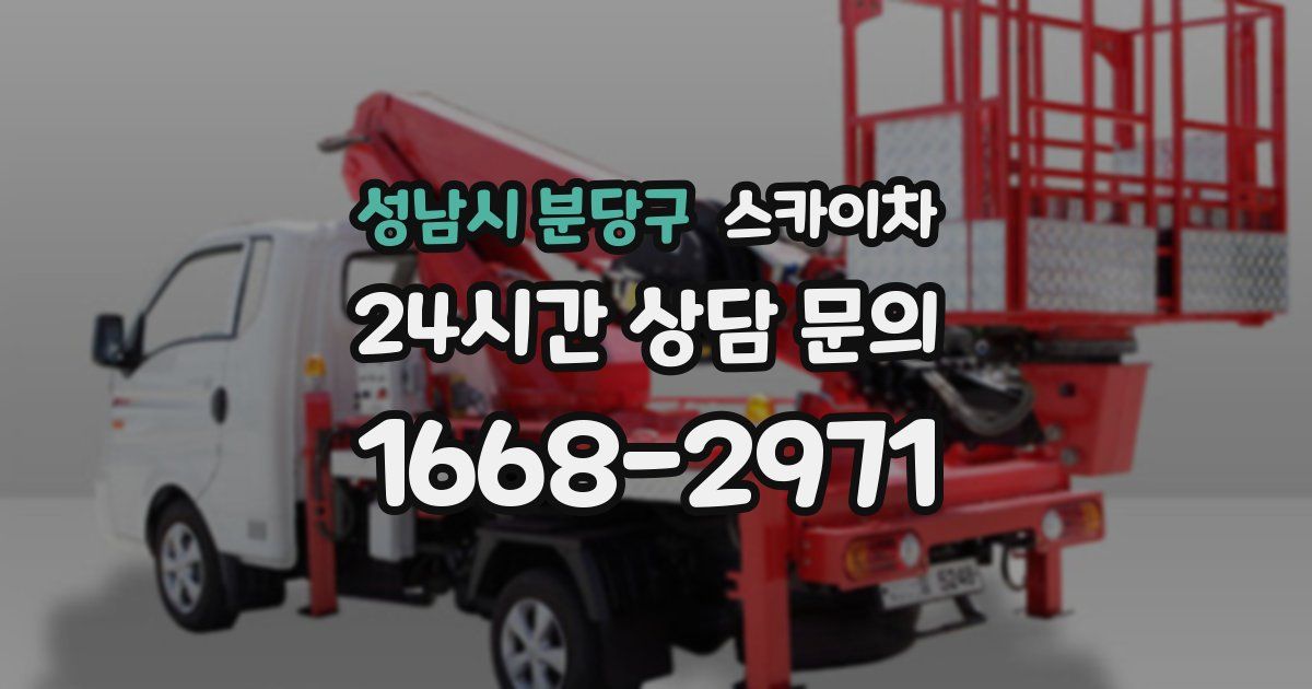 성남시 분당구 스카이차