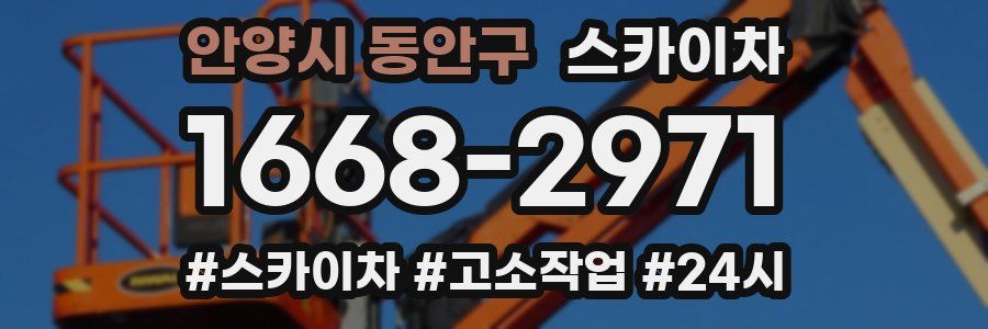 안양시 동안구 스카이차