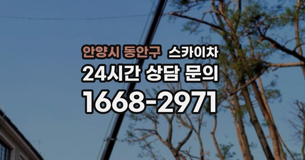 안양시 동안구 스카이차