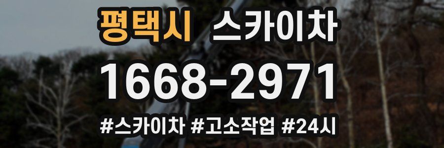 평택시 스카이차