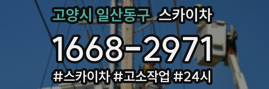 고양시 일산동구 스카이차