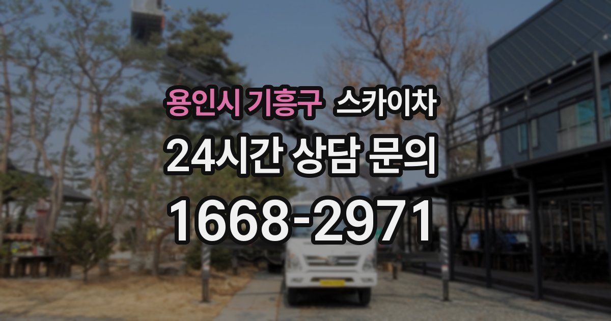 용인시 기흥구 스카이차