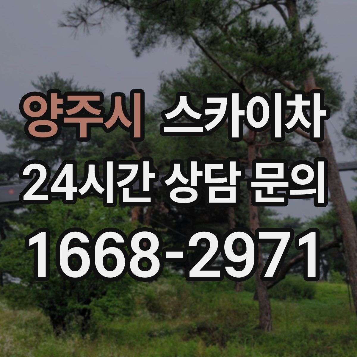 양주시 스카이차