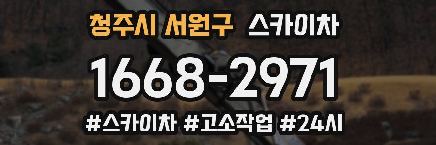 청주시 서원구 스카이차
