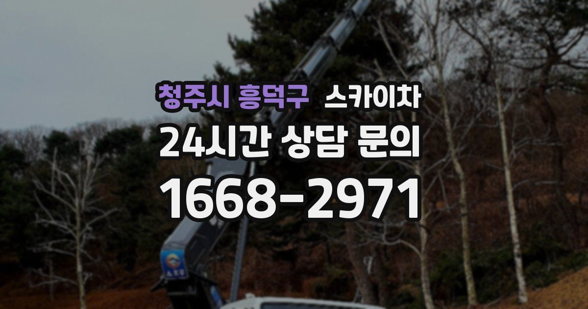 청주시 흥덕구 스카이차