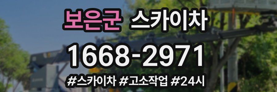 보은군 스카이차