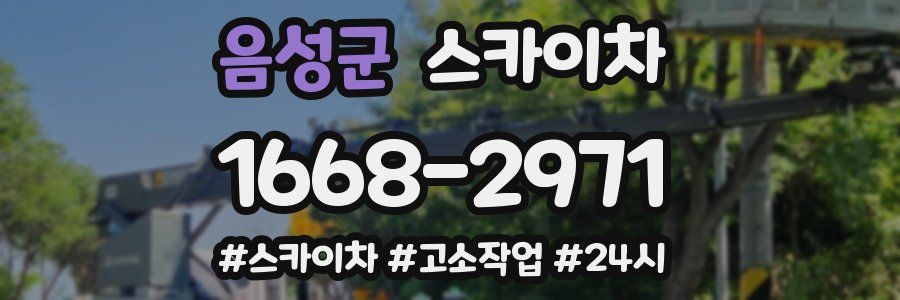 음성군 스카이차