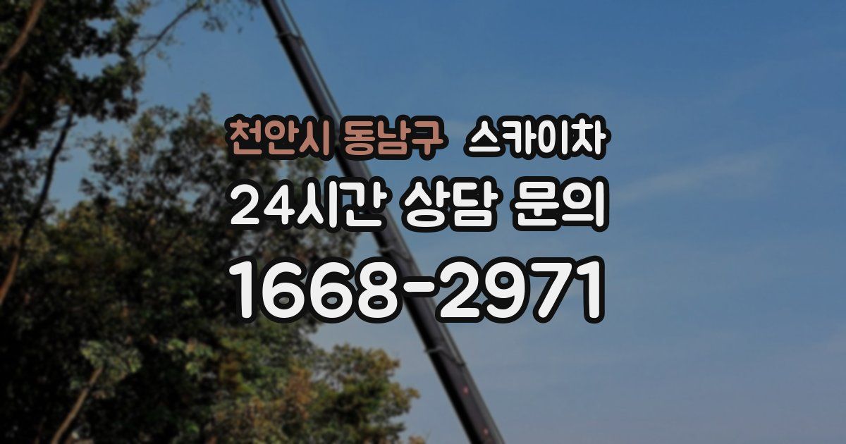 천안시 동남구 스카이차