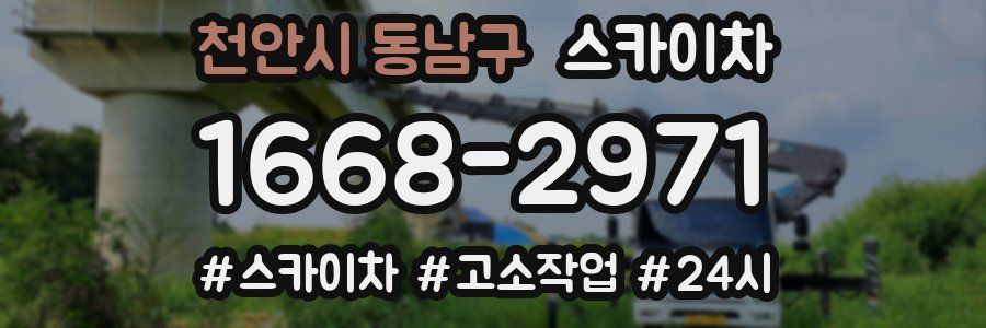 천안시 동남구 스카이차