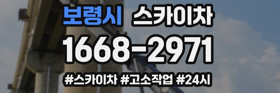 보령시 스카이차